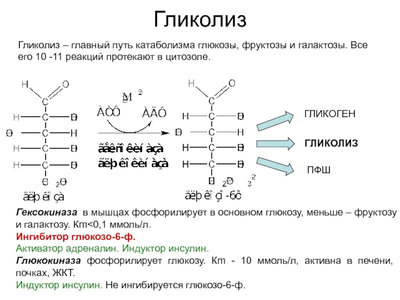 Схема обмена фруктозы