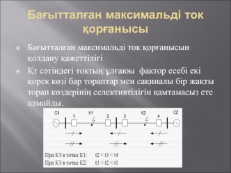 Бағытталған максимальді ток қорғанысы