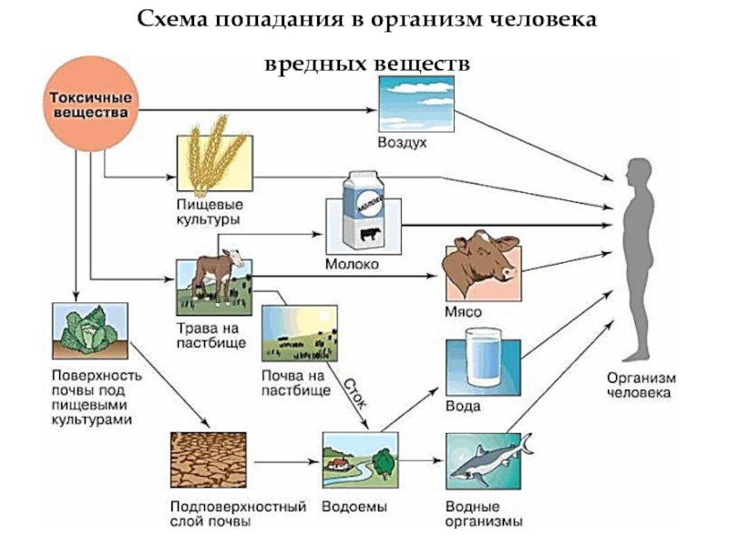 Установите последовательность этапов отображенного на схеме процесса в летний период влажный воздух