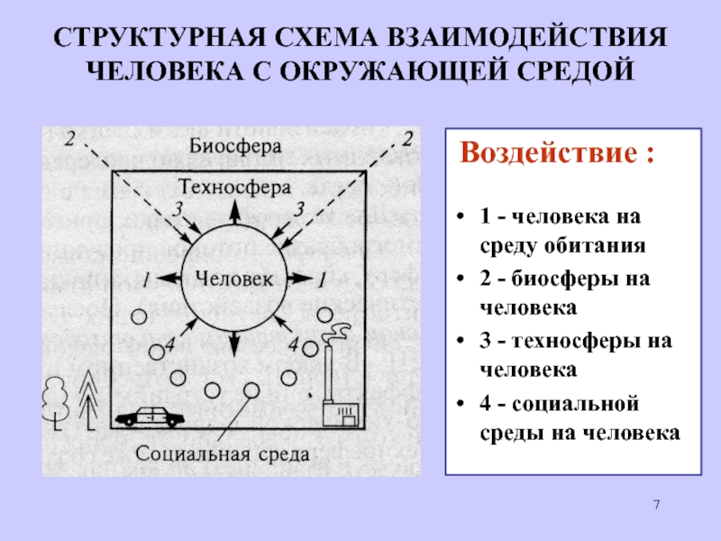 Эволюция среды обитания переход к техносфере