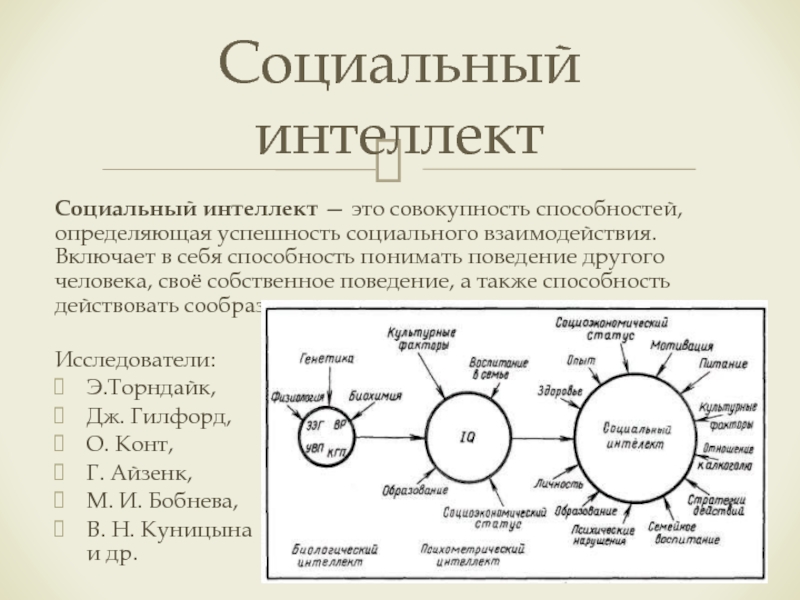 Социальный интеллект