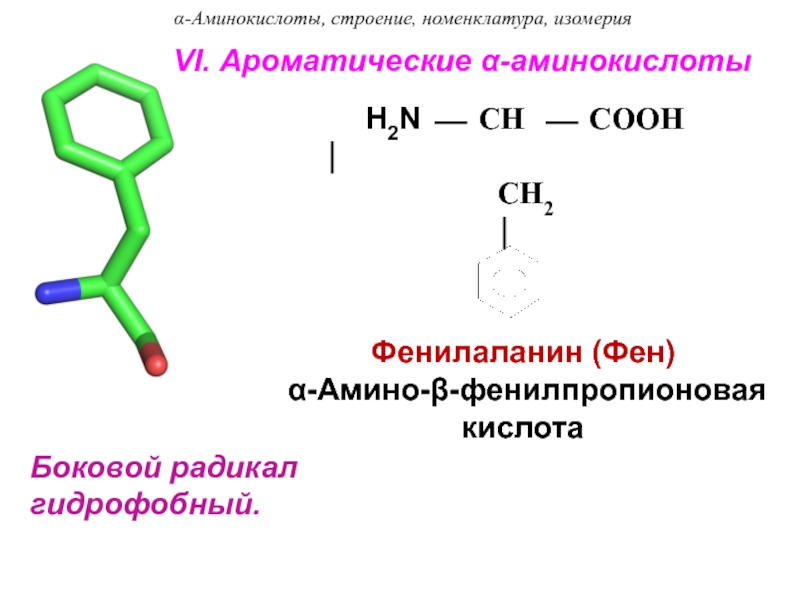 Фенилаланин аминокислота формула. Формулы радикалов ароматических аминокислот. Строение аминокислоты фенилаланин. Фенилаланин радикал. Фенилаланин строение.