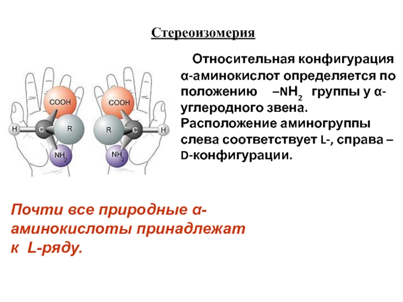 Стереоизомерия. D И L конфигурация аминокислот. Стереоизомерия аминокислот. Относительную конфигурацию у аминокислоты. L конфигурация аминокислот.