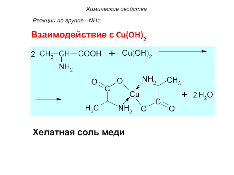 Химические свойства гидроксида меди 2. Образование хелатных комплексов аминокислот. Взаимодействие аланина с гидроксидом меди 2. Аминокислота cu Oh 2. Валин cu Oh 2.