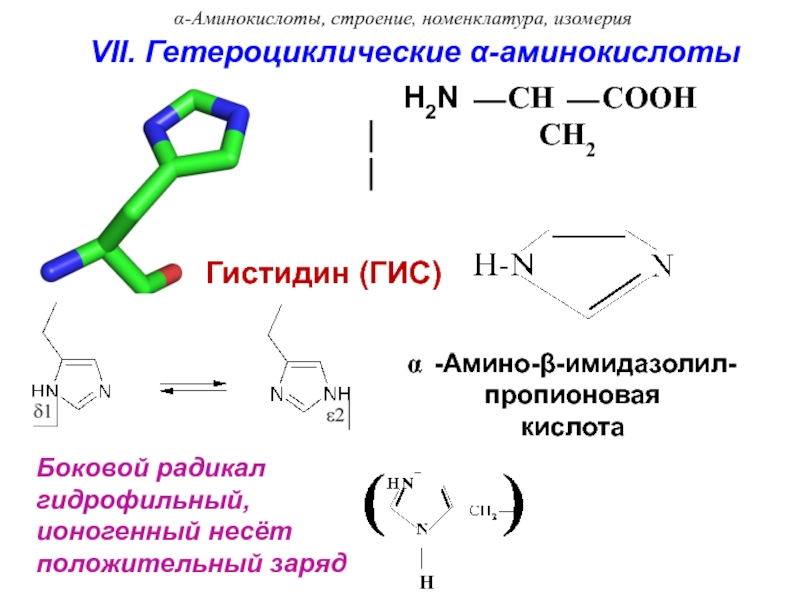 Строение аминокислот