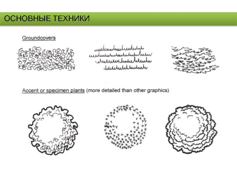 Техниками основными. Основные техники графики. График техники.