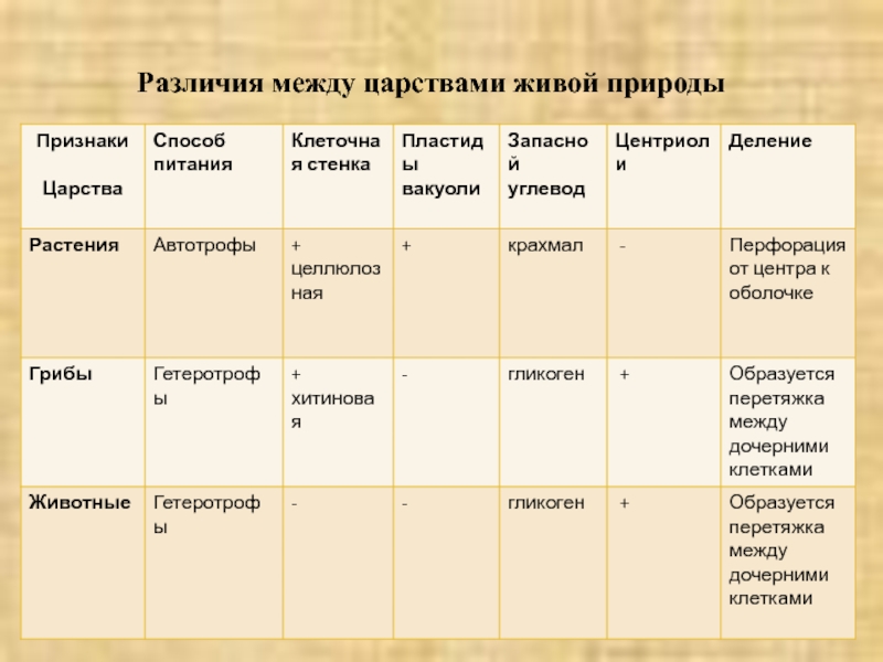 Соответствие между организмами и царствами живой природы