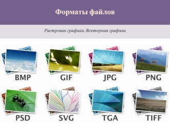 Форматы файлов. Растровая графика. Векторная графика