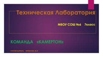 Творческое задание № 3. Сортировка монет