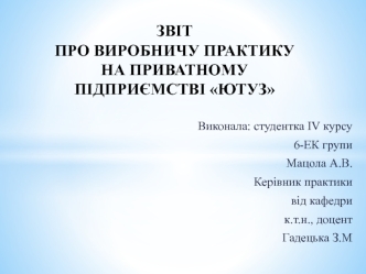 Звіт про виробничу практику на приватному підприємстві Ютуз