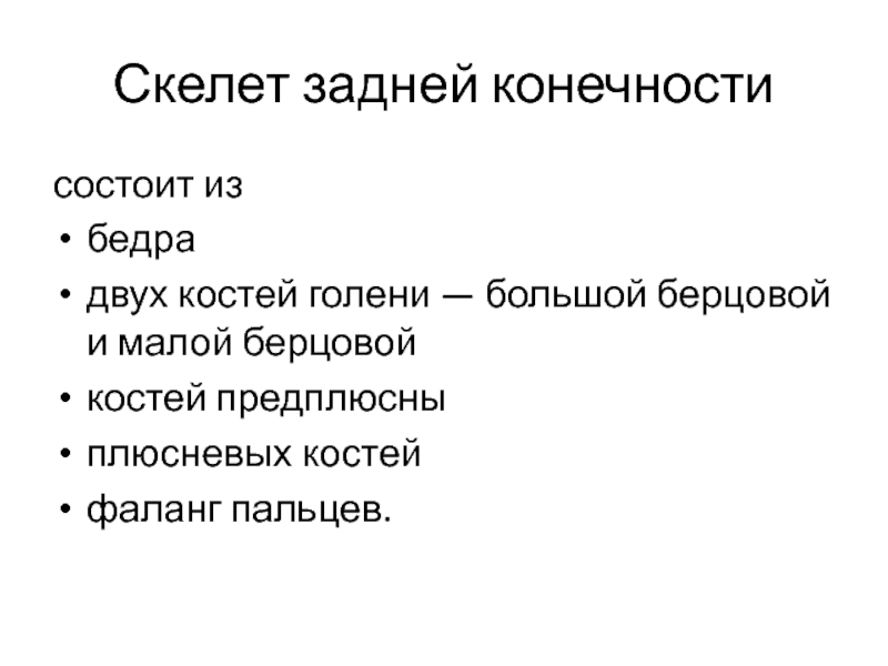 Скелет задних конечностей состоит из. Односуставные и многосуставные мышцы. Многосуставные мышцы примеры. Состояние удовлетворительное средней тяжести. По отношению к суставам мышцы бывают.