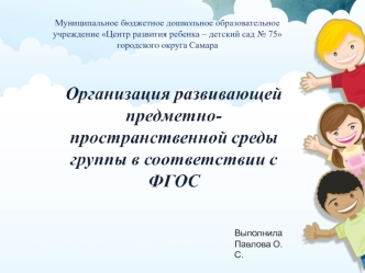 Организация развивающей предметно-пространственной среды группы в соответствии с ФГОС