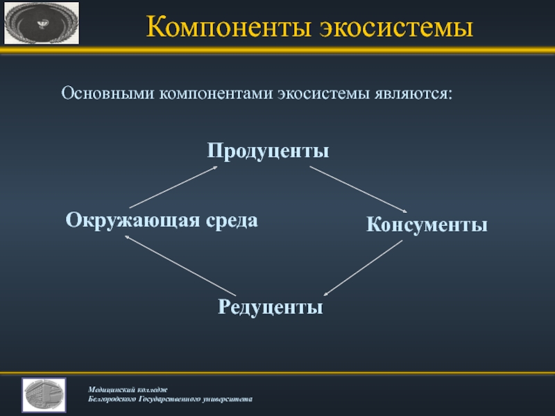 Основные компоненты экосистемы схема