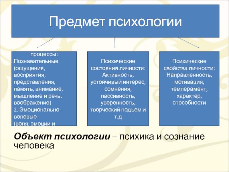 Заполните схемы восприятие объективное память представление память воображение