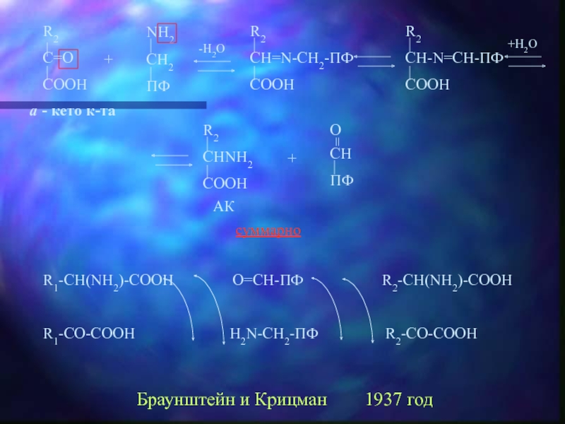 Zn ch3cooh 2. Неокислительное дезаминирование. Крицман трансаминирование. H2n-ch2-ch2-ch2-Cooh. H2n – ch2 – (ch2)2 – Cooh.