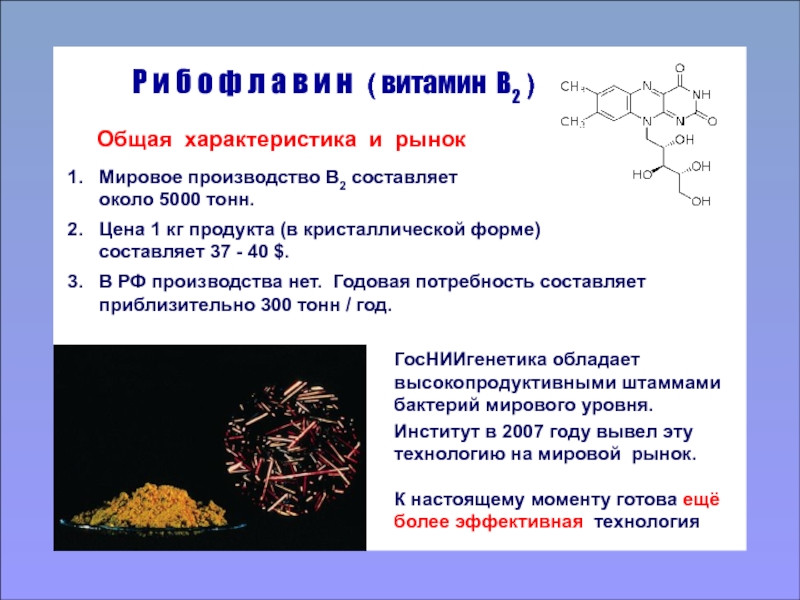 Создание штамма