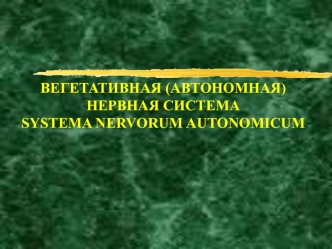 Вегетативная (автономная) нервная система