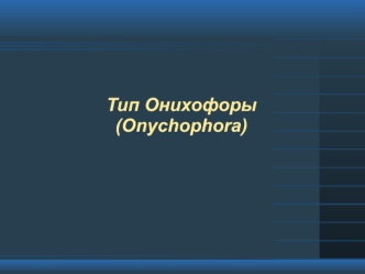 Тип Онихофоры (Onychophora)