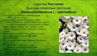 Царство Растения. Высшие семенные растения. Покрытосеменные ( = цветковые)