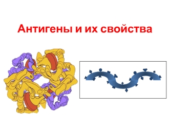 Антигены и их свойства