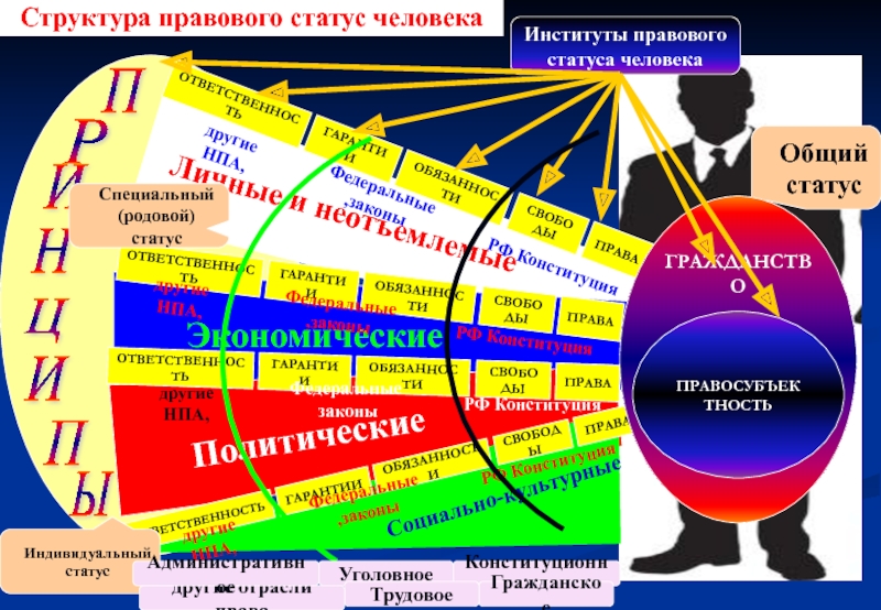 Правовое положение человека 6 букв