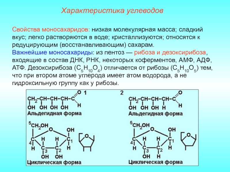 Химические свойства моносахаридов презентация