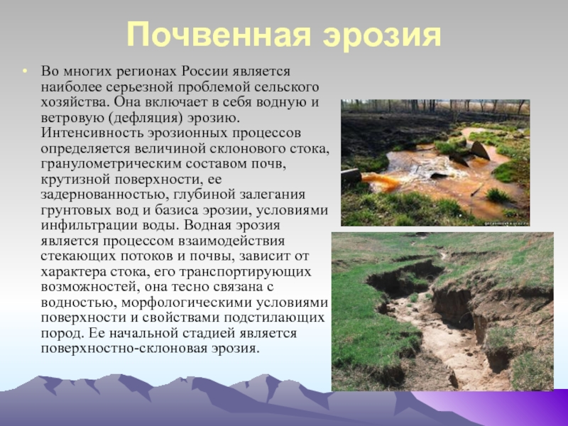 Реферат: Экологические проблемы почвенных ресурсов района им. М. Жумабаева