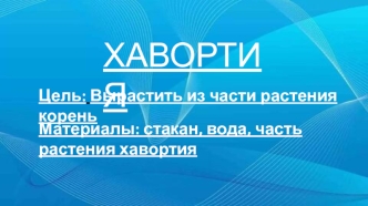 Хавортия