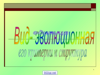 Вид - эволюционная единица., его критерии и структура