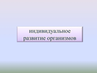 Онтогенез. Индивидуальное развитие одноклеточных организмов