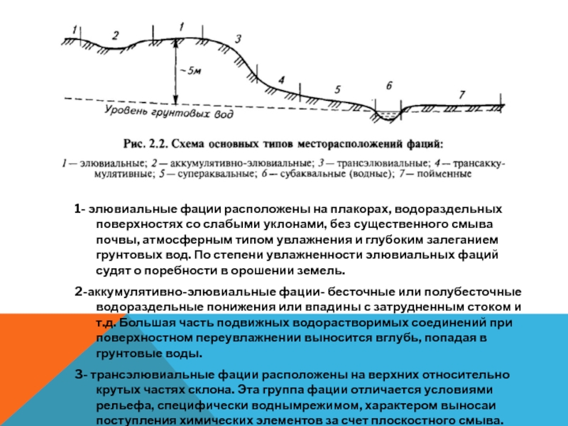 Плакор это. Элювиальные фации. Ландшафтный плакор. Элювиальные фации презентация. Фации с высоким залеганием уровня грунтовых вод.