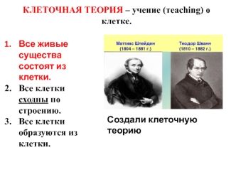 Клеточная теория – учение (тeaching) о клетке