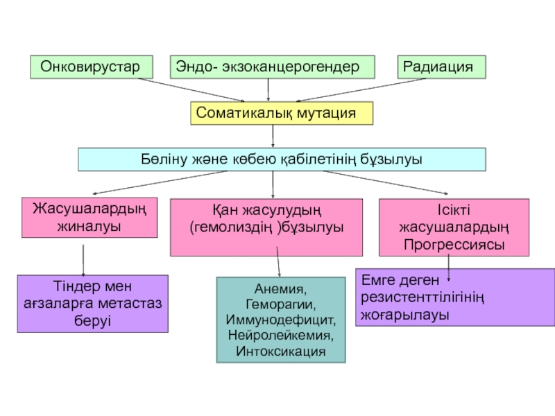 Геморагия. Нейролейкемия. Средство при кумарной геморагии.