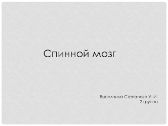 Спинной мозг