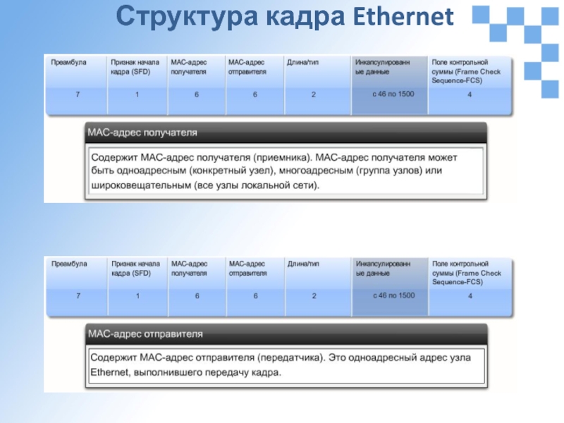 Кадр ethernet. Структура кадра Ethernet.