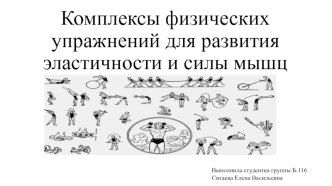 Комплексы физических упражнений для развития эластичности и силы мышц