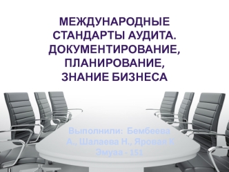 Международные стандарты аудита. Документирование, планирование, знание бизнеса