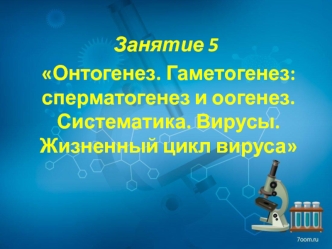 Онтогенез. Гаметогенез: сперматогенез и оогенез. Систематика. Вирусы. Жизненный цикл вируса