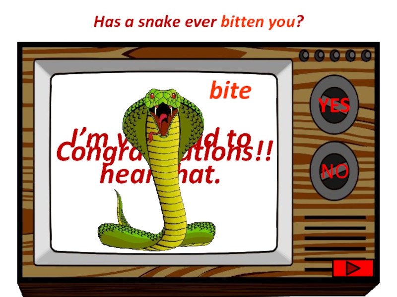 Grammar drill. Have you ever seen a Snake стихотворение. Thats bite.