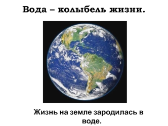 Вода – колыбель жизни. Жизнь на земле зародилась в воде