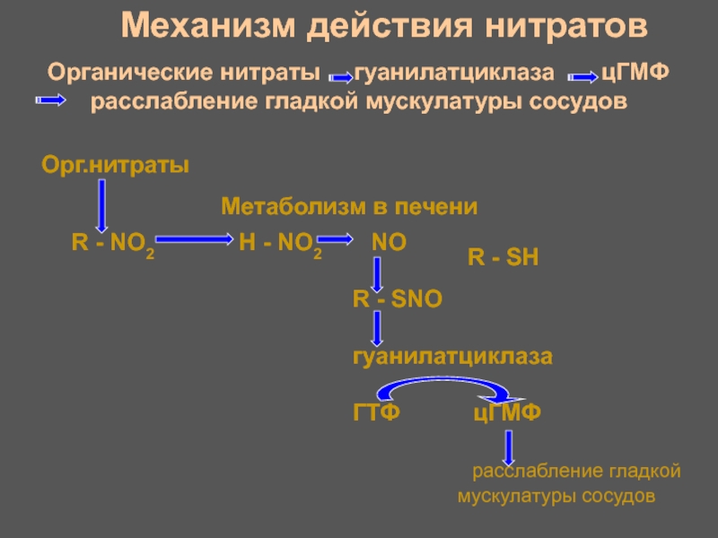 Органические нитраты презентация