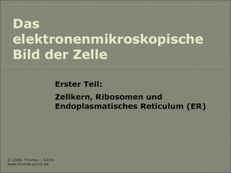 Das elektronenmikroskopische Bild der Zelle