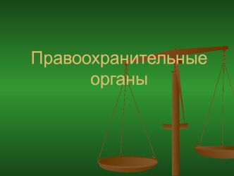 Правоохранительные органы