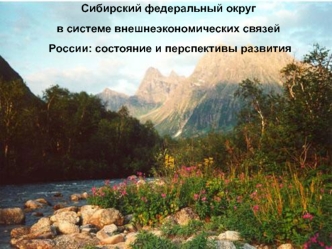 Сибирский федеральный округ в системе внешнеэкономических связей России: состояние и перспективы развития