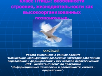 Класс Птицы: особенности строения, жизнедеятельности как высокоорганизованных позвоночных