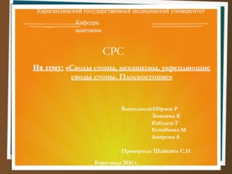 Своды стопы, механизмы, укрепляющие своды стопы. Плоскостопие