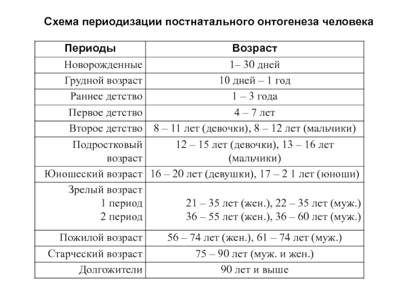 Онтогенез возрастные периоды