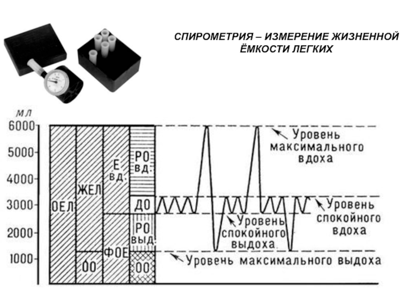 Измерение жизненной. Спирометрия измерение. Измерение жизненной емкости легких. Спирометрия. Измерение легочных объемов таблица измерения. Метод измерения жизненной ёмкости лёгких тест.