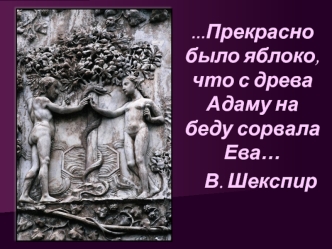 Женская половая система. (Часть 3)