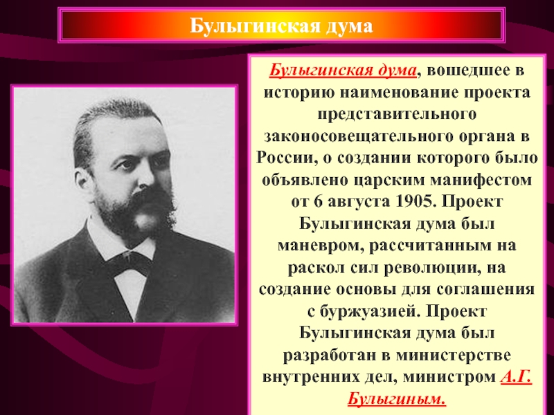 Особенностью проекта получившего название булыгинская дума было